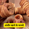 अंजीर खाने के फायदे क्या है 
