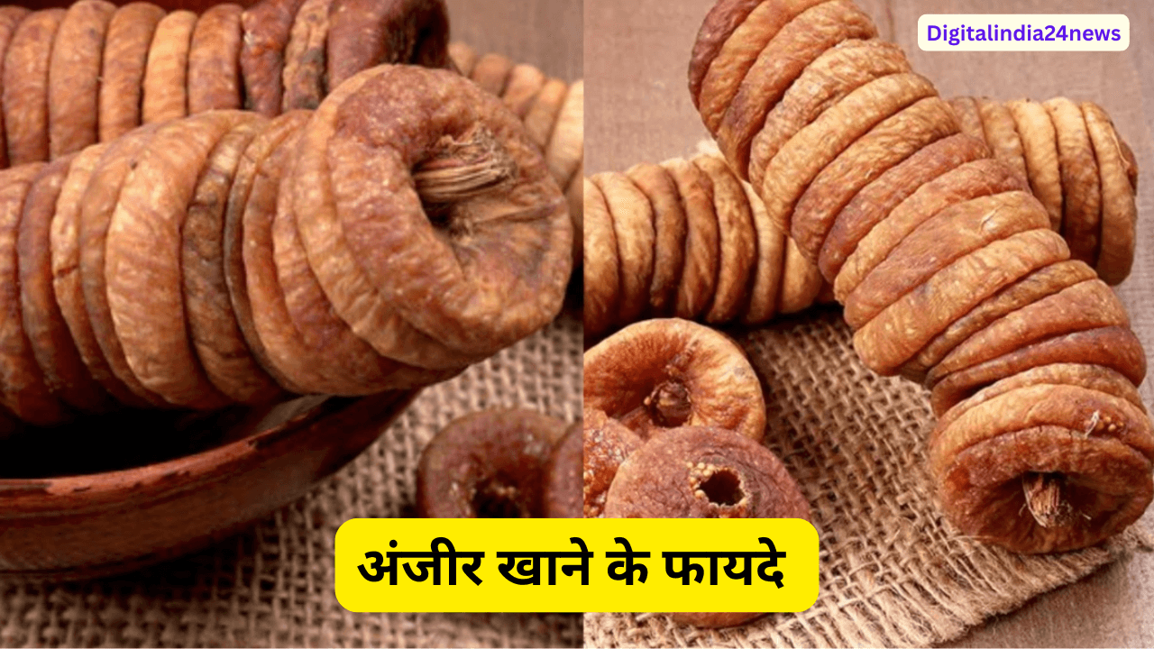 अंजीर खाने के फायदे क्या है 