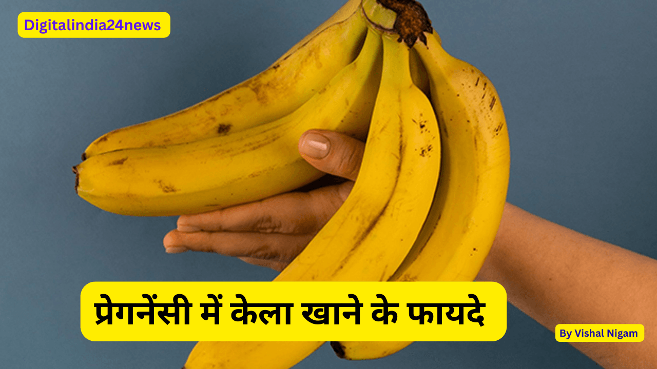 /digitalindia24news.com