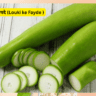 लौकी खाने के फायदे ( Louki ke Fayde )