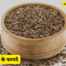 जीरा खाने के फायदे  || Benefits of eating cumin ||