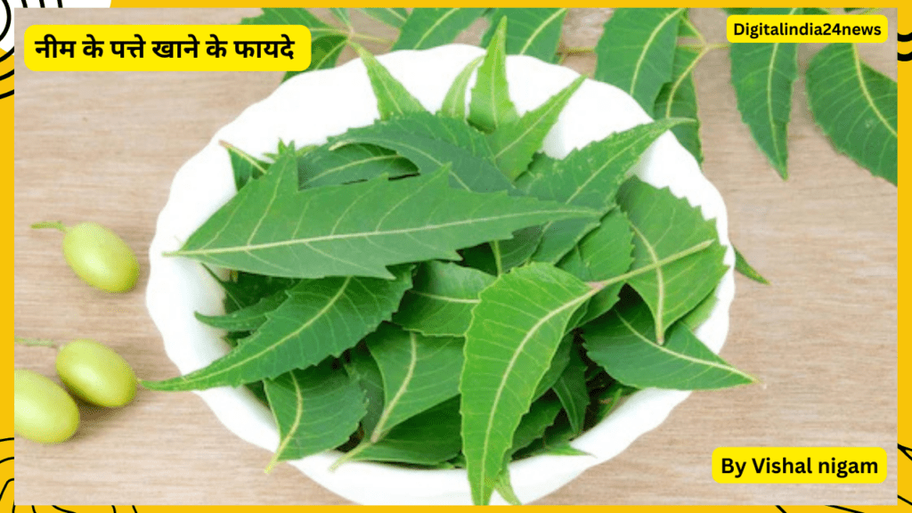 नीम के पत्ते खाने के फायदे | Neem ke Patte Khane Ke Fayde |