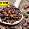 लौंग खाने के फायदे : Clove Benefits