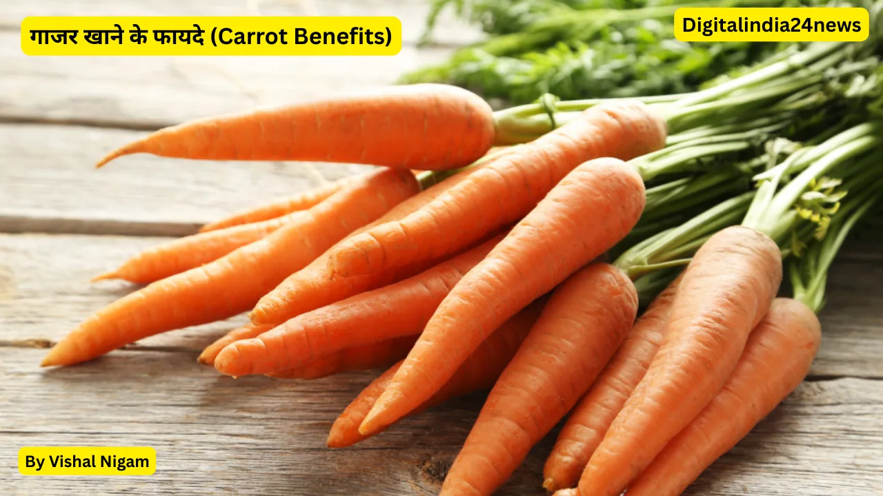 गाजर खाने के फायदे (Carrot Benefits)