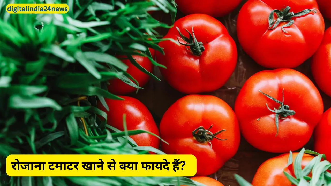 रोजाना टमाटर खाने से क्या फायदे हैं?