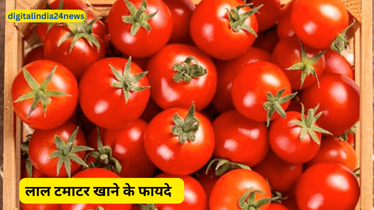 प्रतिदिन लाल टमाटर खाने के अद्भुत फायदे: हृदय, त्वचा, आँखें और पाचन रहेंगे दुरुस्त, कैंसर जैसी गंभीर बीमारियों से भी बचाव — जानिए कैसे करें सही मात्रा में सेवन
